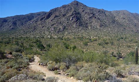 White Tank Mountain Regional Park, Arizona