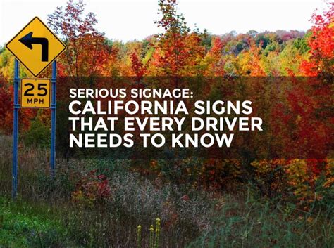 Serious Signage: California Road Signs Every Driver Should Know - America's Instant Signs