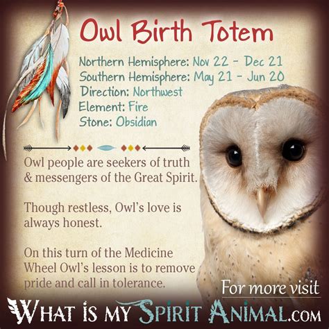 Owl Totem | Native American Zodiac Signs & Birth Signs