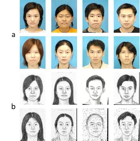 Image Dataset. a) sketch images, b) face images | Download Scientific ...