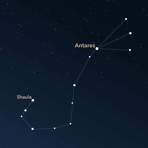 Constellation Scorpius | Interesting Information & Images