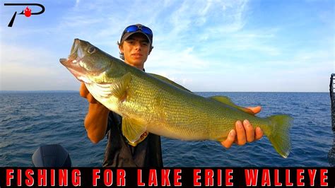 Lake Erie Walleye Fishing - YouTube