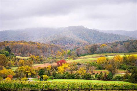 Charlottesville, Virginia Travel Guide: Best Dining, Vineyards, Hotels, Historic Sites, and More