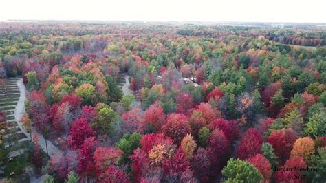 Pure Michigan Fall Colors - YouTube