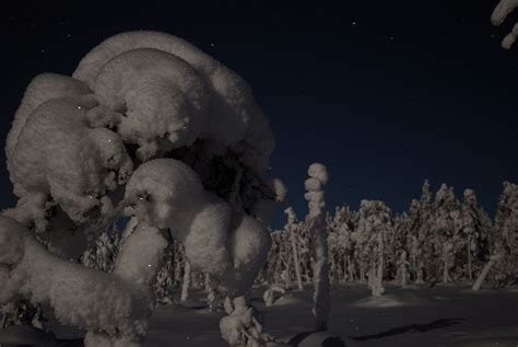 Finnish Lapland in Winter – Gerald Zojer's Blog