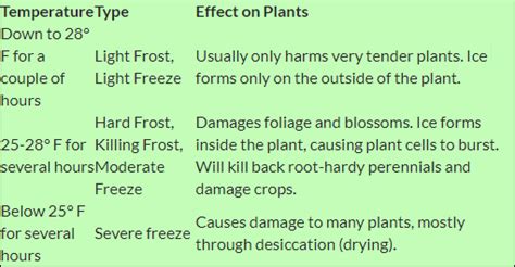 effects on plants - The Plant Guide