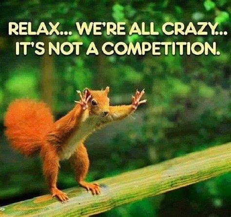 Pin by Jennifer Hammond on Squirrels | Weird quotes funny, Funny ...