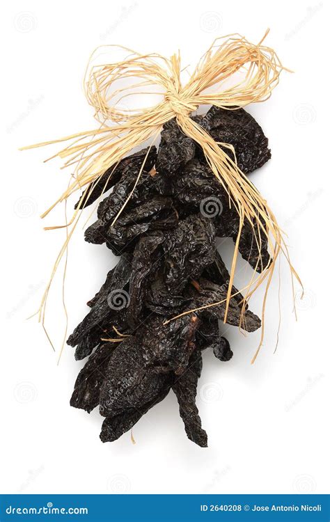 Dried Chillies stock photo. Image of seasoning, isolated - 2640208