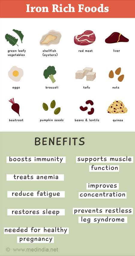 What is the most bioavailable source of iron? [2022] | QAQooking.wiki