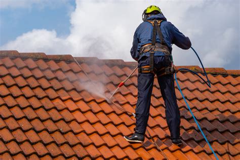 The Pros and Cons of Professional Roof Cleaning | Just Clean Property Care