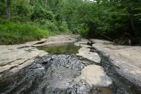 Hiking at Falls Lake – Get to Know a Park