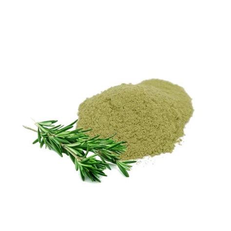 Rosemary Leaf Powder Benefits: Top Benefits of Rosemary Leaf Powder - REVEDA