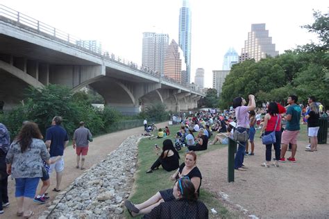 How to See the Austin Bats Under Congress Bridge - Austin, TX