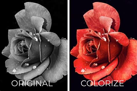 How to Colorize a Black and White Photo in Adobe Photoshop