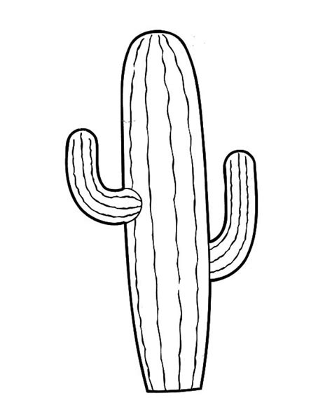 Saguaro Cactus Drawing at GetDrawings | Free download