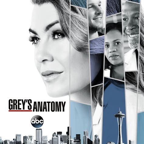 Grey's Anatomy, Season 14 wiki, synopsis, reviews - Movies Rankings!