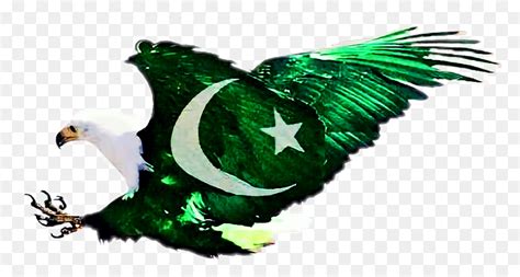 Scflag Flag Pakistanflag Pakistan Eagle Bird Shaheen - My Country My Pride Pakistan, HD Png ...