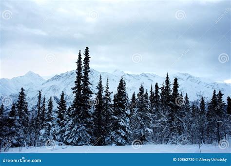 Alaska Winter Landscape stock photo. Image of alaska - 50862720