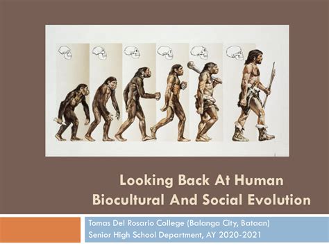 SOLUTION: Lesson 3 human biocultural and social evolution - Studypool