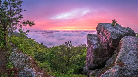 Hiking Sections — Pine Mountain State Scenic Trail