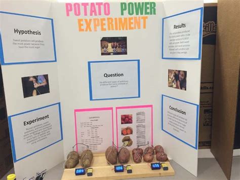 Potato Powered Light Bulb Science Fair Project | Ruivadelow