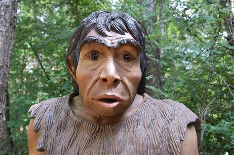 Neanderthals | * free for your creativity - please add a lin… | Flickr