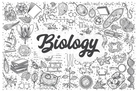 3,394 Biology Word Art Royalty-Free Images, Stock Photos & Pictures ...