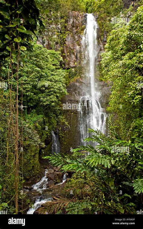 Maui Wailua waterfalls in tropical jungle of Hawaii Stock Photo - Alamy