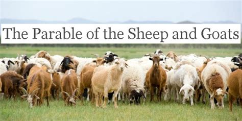 Parable of the Sheep and Goats - United Church of God, Birmingham ...