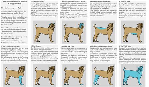 dog-massage-poster - Seacoast Pet Care, LLC