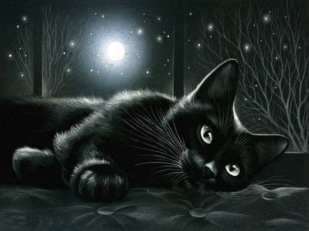 Black cat in moonlight - Desktop Nexus Wallpapers | Cat wallpaper, Cat art, Cats