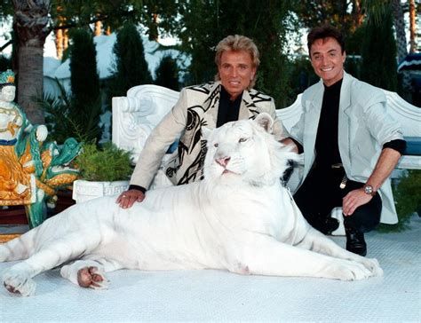 What Happened To Siegfried and Roy? Their Careers Ended Suddenly