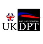 Find Dogs That Need Rehoming at UK Dog Protection Team Rescue