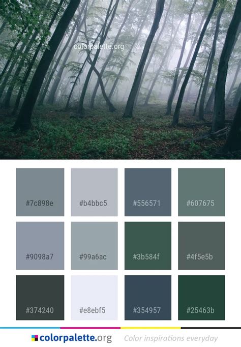 Forest Green Color Palette