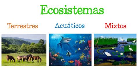 Ecosistema. Se denomina ecosistema al conjunto de organismos vivos