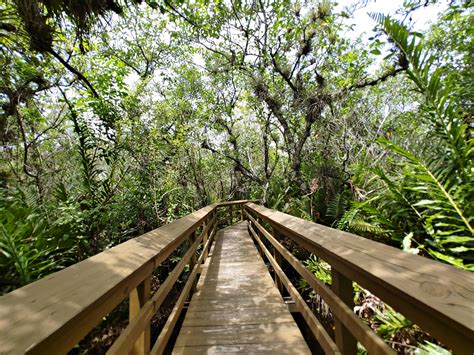 Visiting the Everglades Safari Park - Navigation Junkie