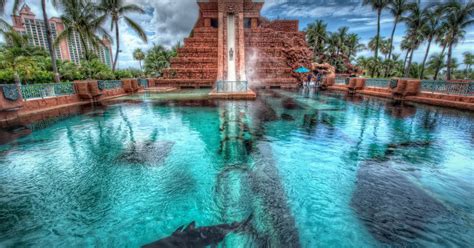 Aquaventure Dubai: What is Water Park