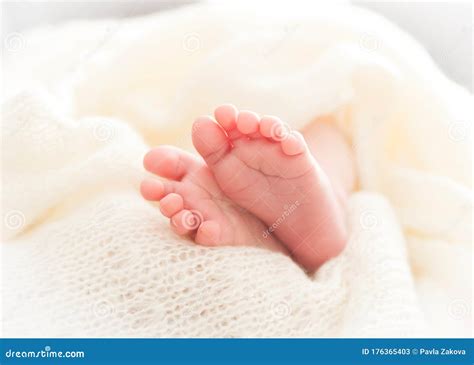 Newborn baby feet stock image. Image of cute, life, parenthood - 176365403