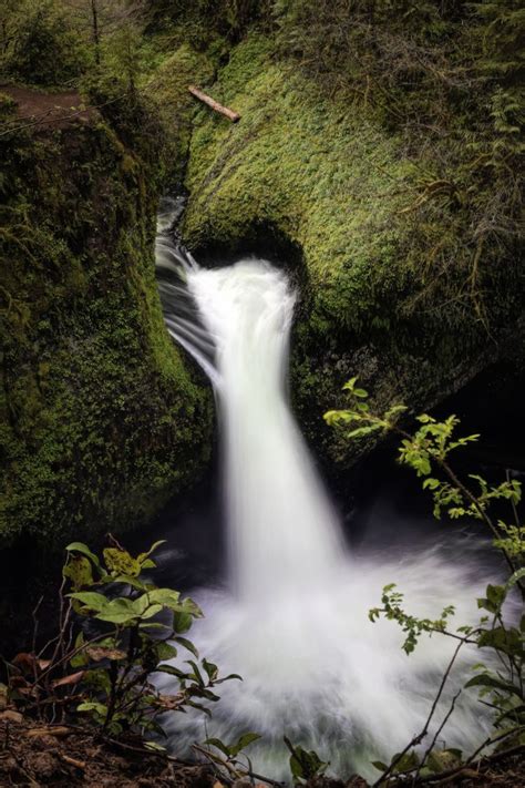 Punch Bowl Falls in 2021 | Punchbowl falls, Scenic, Acrylic prints