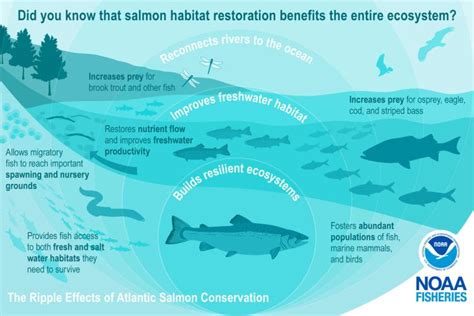 | NOAA Fisheries