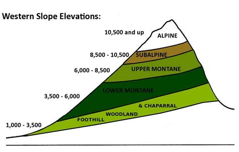 NCERT Summary: Natural Vegetation - 1 Notes | EduRev