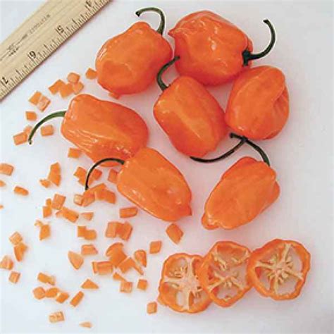 Pepper Seeds, Orange Habanero