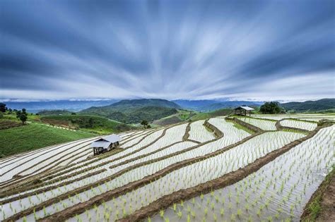 A Look at Terrace Farming Around the World