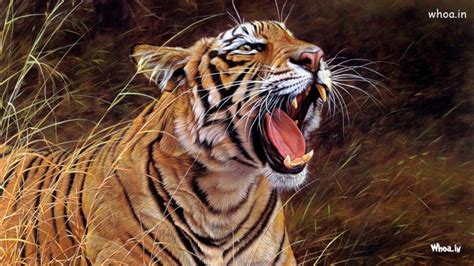 Close Up Of Tiger Roaring Wallpaper