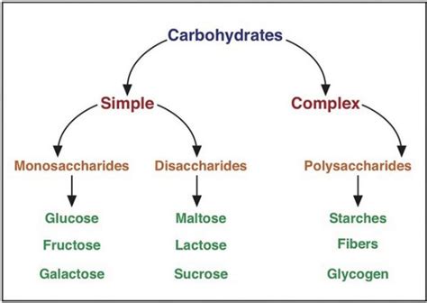 Carbohydrates Definition and list of all carbohydrates.