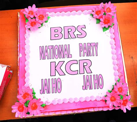 BRS Party Celebration | తెలంగాణ గడ్డపై బీఆర్‌ఎస్‌కు జేజేలు… ఫొటోలు-Namasthe Telangana