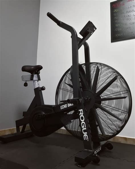 13 Reasons to/Not to Buy Rogue Echo Bike | Garage Gym Reviews| Garage Gym Reviews