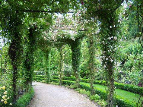 Alnwick Castle Gardens | In the Rose Garden, Alnwick Castle Gardens, July 2012. | Black gothic ...