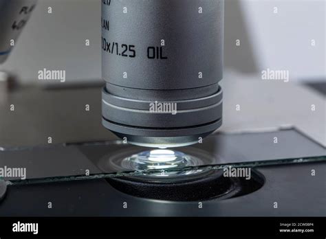 Distribution of immersion oil under light microscope objective lens ...