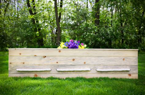 What Do We Need to Know About Green Caskets? - SevenPonds BlogSevenPonds Blog